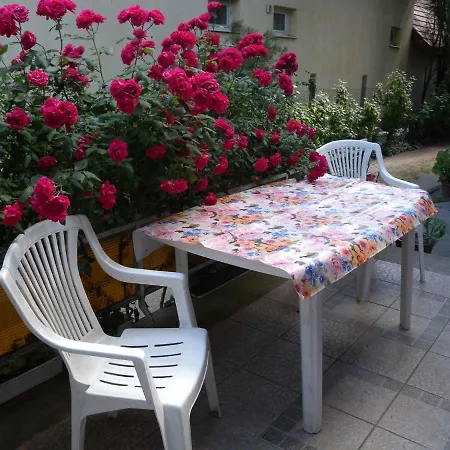 Casa vacanze In Siofok/balaton 19878